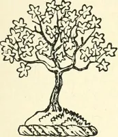 An illustration from The history of Brighouse, Rastrick, and Hipperholme; with monorial notes on Coley, Lightcliffe, Northowram, Shelf, Fixby, Clifton and Kirklees (1893)
