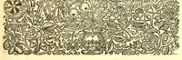 An illustration from The history of the Caribby-islands : viz. Barbados, St Christophers, St Vincents, Martinico, Dominico, Barbouthos, Monserrat, Mevis, Antego, &c. in all XXVIII in two books : the first containing the natural; the second, the moral history of those islands : illustrated with several pieces of sculpture, representing the most considerable rarities therein described : with a Caribbian-vocabulary (1666)