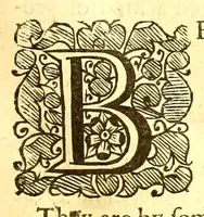 An illustration from The history of the Caribby-islands : viz. Barbados, St Christophers, St Vincents, Martinico, Dominico, Barbouthos, Monserrat, Mevis, Antego, &c. in all XXVIII in two books : the first containing the natural; the second, the moral history of those islands : illustrated with several pieces of sculpture, representing the most considerable rarities therein described : with a Caribbian-vocabulary (1666)