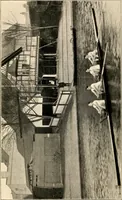 An illustration from The history of the Christ's College Boat Club (1922)