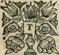 Picture 4 of 15 from The history of the civil wars of France (1678), leaf 10