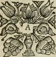 Picture 10 of 15 from The history of the civil wars of France (1678), leaf 387