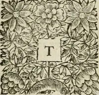Picture 13 of 15 from The history of the civil wars of France (1678), leaf 553