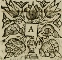 Picture 5 of 15 from The history of the civil wars of France (1678), leaf 65