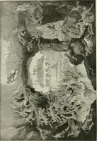 Picture 209 of 260 from The history of the devil and the idea of evil; from the earliest times to the present day (1899), leaf 407