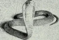 Picture 156 of 275 from The history of the devil and the idea of evil : from the earliest times to the present day (1900), leaf 285
