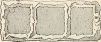 Picture 23 of 91 from History of early Christian art (1893), leaf 132