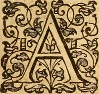 An illustration from The history of the English and Scotch presbytery : wherein is discovered their designes and practises for the subversion of government in church and state (1659)