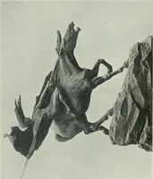 An illustration from A history of European and American sculpture from the early Christian period to the present day (1921)