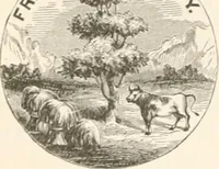 An illustration from History of the flag of the United States of America : and of the naval and yacht-club signals, seals, and arms, and principal national songs of the United States, with a chronicle of the symbols, standards, banners, and flags of ancient and modern nations (1894)