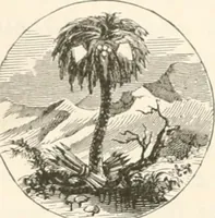 An illustration from History of the flag of the United States of America : and of the naval and yacht-club signals, seals, and arms, and principal national songs of the United States, with a chronicle of the symbols, standards, banners, and flags of ancient and modern nations (1894)