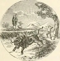 An illustration from History of the flag of the United States of America : and of the naval and yacht-club signals, seals, and arms, and principal national songs of the United States, with a chronicle of the symbols, standards, banners, and flags of ancient and modern nations (1894)