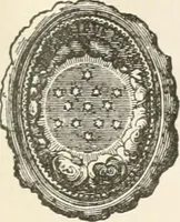 An illustration from History of the flag of the United States of America : and of the naval and yacht-club signals, seals, and arms, and principal national songs of the United States, with a chronicle of the symbols, standards, banners, and flags of ancient and modern nations (1894)