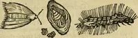 Picture 280 of 307 from The history of four-footed beasts and serpents. (1658), leaf 1000