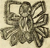 An illustration from The history of four-footed beasts and serpents. (1658)