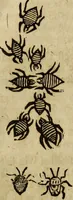 Picture 302 of 307 from The history of four-footed beasts and serpents. (1658), leaf 1060