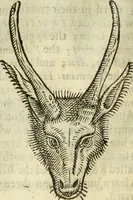 An illustration from The history of four-footed beasts and serpents. (1658)
