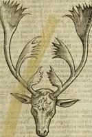 An illustration from The history of four-footed beasts and serpents. (1658)