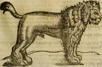 An illustration from The history of four-footed beasts and serpents. (1658)