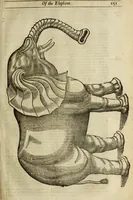 Picture 56 of 307 from The history of four-footed beasts and serpents. (1658), leaf 166