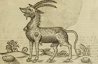 An illustration from The history of four-footed beasts and serpents. (1658)