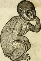 An illustration from The history of four-footed beasts and serpents. (1658)