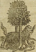Picture 72 of 307 from The history of four-footed beasts and serpents. (1658), leaf 220