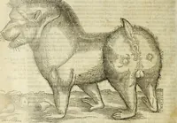 Picture 79 of 307 from The history of four-footed beasts and serpents. (1658), leaf 357