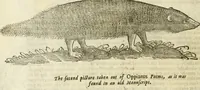 Picture 82 of 307 from The history of four-footed beasts and serpents. (1658), leaf 365
