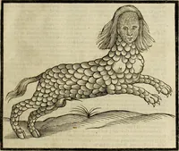 Picture 84 of 307 from The history of four-footed beasts and serpents. (1658), leaf 368