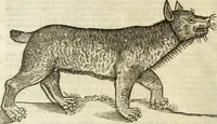 Picture 86 of 307 from The history of four-footed beasts and serpents. (1658), leaf 395