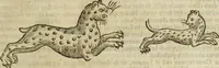 An illustration from The history of four-footed beasts and serpents. (1658)
