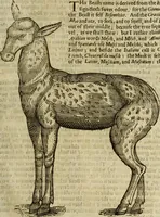 An illustration from The history of four-footed beasts and serpents. (1658)