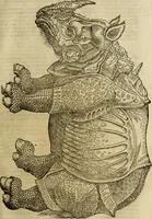 Picture 110 of 307 from The history of four-footed beasts and serpents. (1658), leaf 476