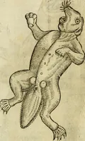 Picture 21 of 307 from The history of four-footed beasts and serpents. (1658), leaf 51