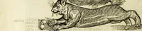 Picture 115 of 307 from The history of four-footed beasts and serpents. (1658), leaf 523