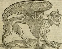 An illustration from The history of four-footed beasts and serpents. (1658)