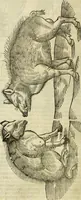 An illustration from The history of four-footed beasts and serpents. (1658)
