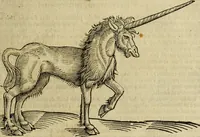 Picture 120 of 307 from The history of four-footed beasts and serpents. (1658), leaf 566