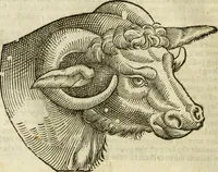 Picture 24 of 307 from The history of four-footed beasts and serpents. (1658), leaf 57