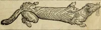 Picture 1 of 307 from The history of four-footed beasts and serpents. (1658), leaf 6