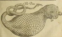 An illustration from The history of four-footed beasts and serpents. (1658)