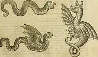 Picture 138 of 307 from The history of four-footed beasts and serpents. (1658), leaf 716
