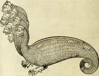 Picture 146 of 307 from The history of four-footed beasts and serpents. (1658), leaf 751