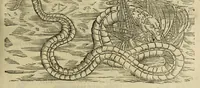 Picture 157 of 307 from The history of four-footed beasts and serpents. (1658), leaf 776