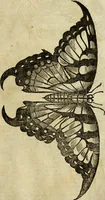 An illustration from The history of four-footed beasts and serpents. (1658)