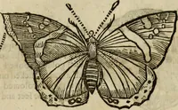 An illustration from The history of four-footed beasts and serpents. (1658)