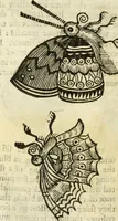 Picture 216 of 307 from The history of four-footed beasts and serpents. (1658), leaf 933