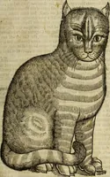 Picture 35 of 307 from The history of four-footed beasts and serpents. (1658), leaf 96