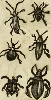 Picture 261 of 307 from The history of four-footed beasts and serpents. (1658), leaf 978